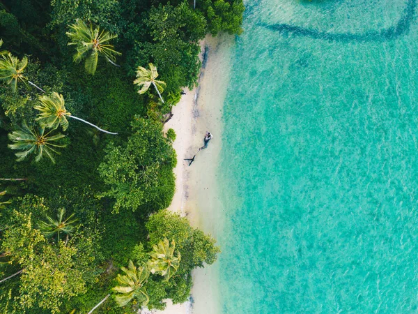 stock image Tropical palm trees on the sandy beach and turquoise ocean from above. Aerial view summer nature landscape.