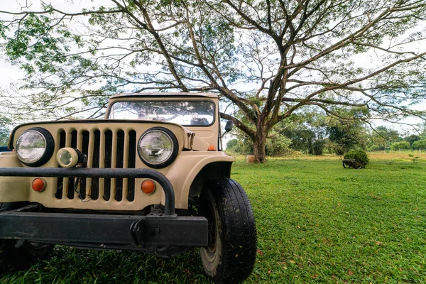 Wheel Road Jeep Car Green Grass Tree Forest Adventure Activity — Foto de Stock