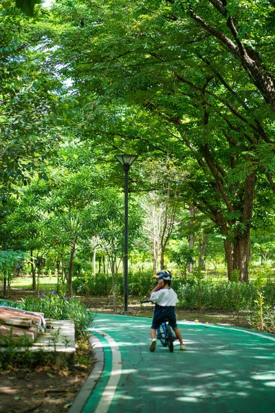 stock image Asian kindergarten boy practice ride bicycle in city park tree forest outdoor exercise