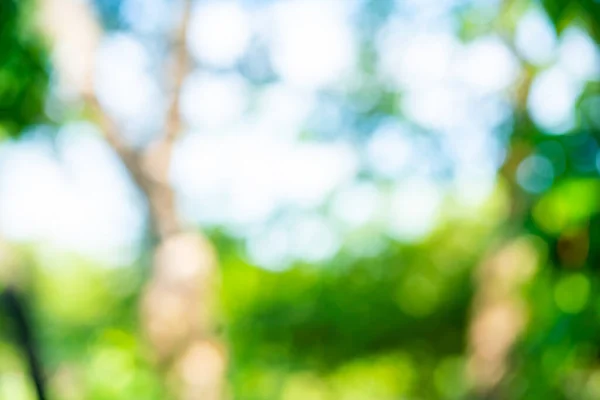 stock image Abstract blurred shiny green tree park sunny day with bokeh nature background