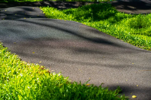 都市公園内のアスファルト道路緑の草の空の道路公園 — ストック写真