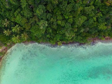 Tropikal ada yaz tatili konseptinde yeşil ağaç ormanıyla hava manzaralı sahil dalgası.