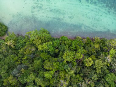 Tropikal ada yaz tatili konseptinde yeşil ağaç ormanıyla hava manzaralı sahil dalgası.