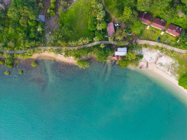 Yeşil ağaçlı, beyaz kumlu, egzotik deniz dalgası plajı yaz arkaplanı.