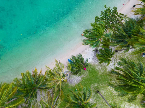 stock image Aerial view exotic sea wave beach with green tree white sand summer background