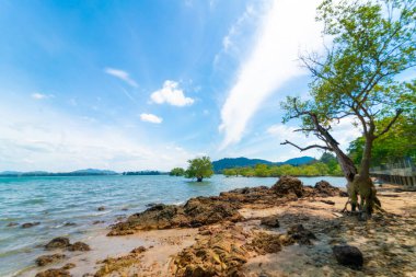Deniz kıyısı dalgaları tropikal ağaç mavi gökyüzü ve bulutlu yaz tatili doğa manzarası.