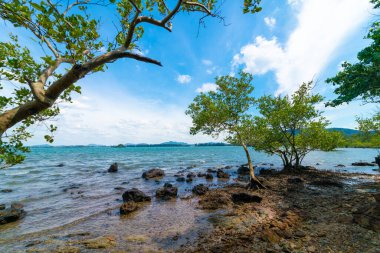 Deniz kıyısı dalgaları tropikal ağaç mavi gökyüzü ve bulutlu yaz tatili doğa manzarası.