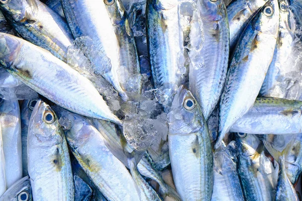 Свіжа Риба Тунця Продається Місцевому Рибному Ринку Омега Харчової Промисловості — стокове фото