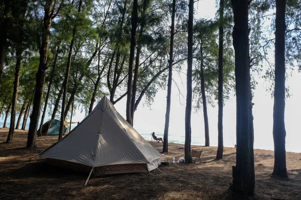 Camping Namiot Lesie Sosnowym Isaland Morze Plaża Letnia Koncepcja Wakacje — Zdjęcie stockowe
