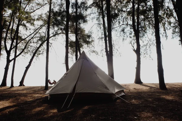 島の海のビーチで松の木の森でキャンプテント夏休みのコンセプト — ストック写真