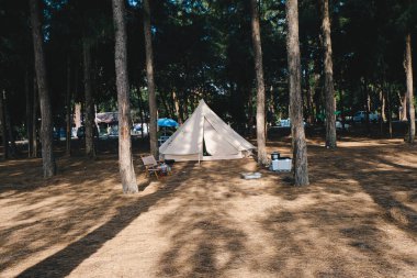 Çam ağacı ormanlarında kamp çadırı, yaz tatili konsepti.