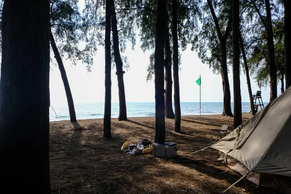 Tenda Acampamento Floresta Pinheiros Praia Praia Mar Isaland Conceito Férias — Fotografia de Stock