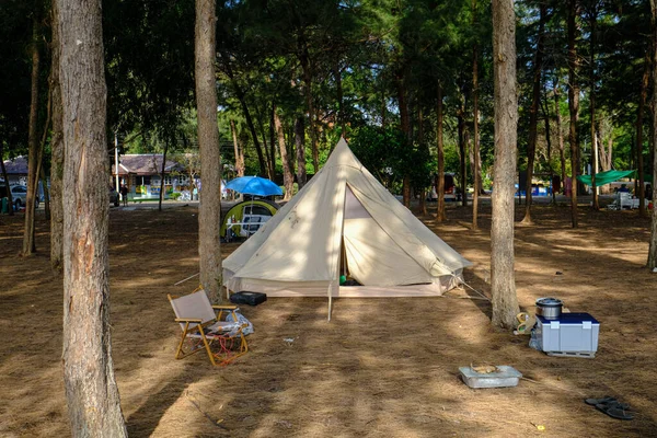 松树林野营帐篷 萨兰海滨夏季度假理念 — 图库照片