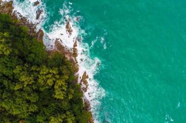 Deniz dalgası plajlı deniz manzaralı yeşil ağaç ormanı