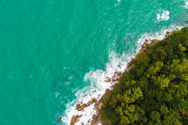 Deniz dalgası plajlı deniz manzaralı yeşil ağaç ormanı
