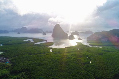 Hava manzaralı yeşil mangrov ormanı sabah güneşi deniz manzaralı doğa manzarası