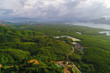 Hava manzaralı yeşil mangrov ormanı sabah güneşi deniz manzaralı doğa manzarası