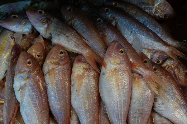 Продаж Морської Риби Рибному Ринку Різні Рибні Морепродукти Промисловості — стокове фото
