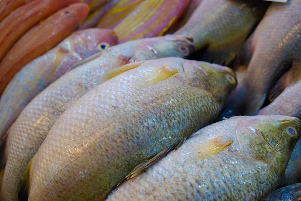 Рыбные Корма Продаются Рыбном Рынке — стоковое фото