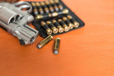 Elde tabanca 44 magnum, deri savunma kavramında kurşun.