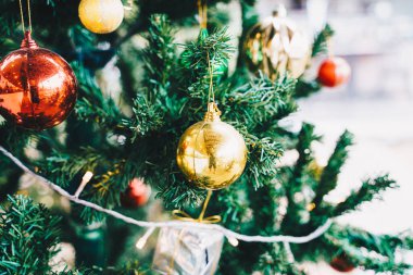 Noel ağacı hediyesi, çam ağacı dalında noel balosu süsü. Mutlu Noeller.