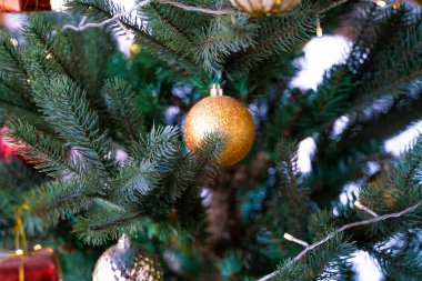 Noel ağacı hediyesi, çam ağacı dalında noel balosu süsü. Mutlu Noeller.