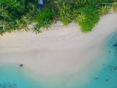 Hava manzaralı tropikal beyaz kumsal dalgalı yeşil orman yaz tatili arka planı