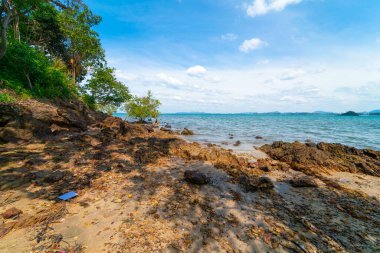 Tropikal deniz taşlı plaj, ağaç mavisi gökyüzü ve bulutlu doğa manzarası.