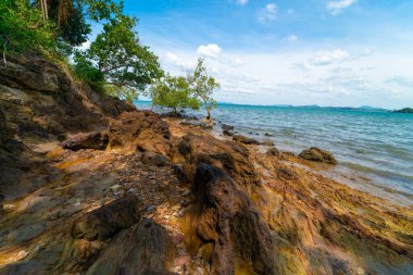 Tropikal deniz taşlı plaj, ağaç mavisi gökyüzü ve bulutlu doğa manzarası.