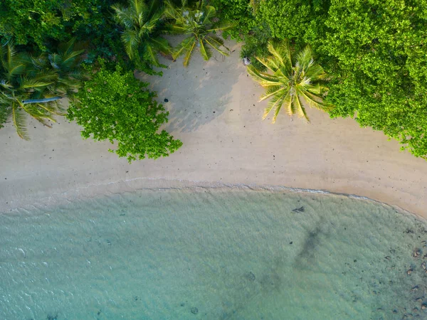 Вид Воздуха Тропический Белый Песок Пляж Волна Зеленые Деревья Леса — стоковое фото