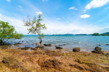 Tropikal deniz taşlı plaj, ağaç mavisi gökyüzü ve bulutlu doğa manzarası.