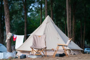 Aile çadırı çam ağacı kumsalında kamp yapmak doğa gezisi.