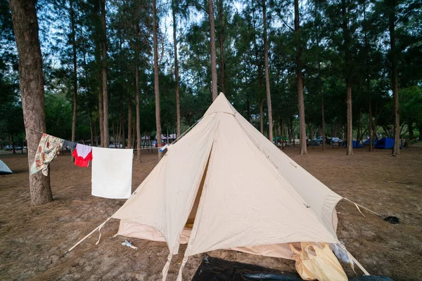 Camping Rodinný Stan Borovice Les Pláž Přední Příroda Dovolená — Stock fotografie