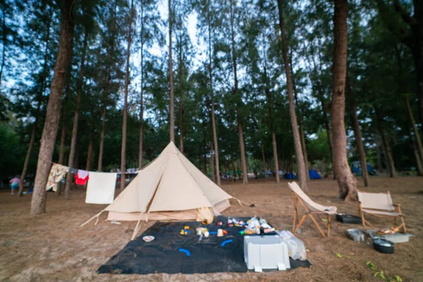 Camping Barraca Familiar Pinhal Floresta Praia Frente Natureza Férias — Fotografia de Stock