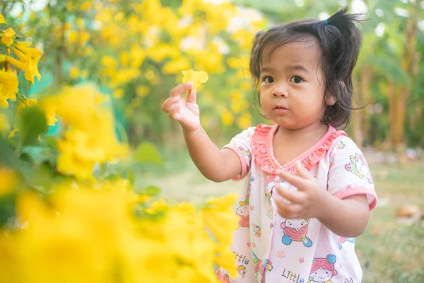 Beautiful Asian Toddler Girl Playing Yelow Flower Outdoor Park Morninglight — Stock Photo, Image