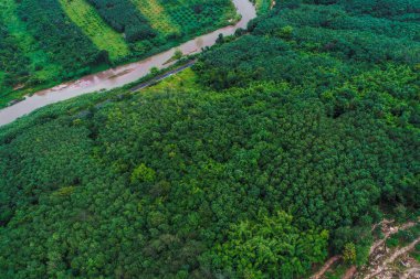 Tropikal yağmur ormanlarında hava manzaralı asfalt yol doğada ulaşım
