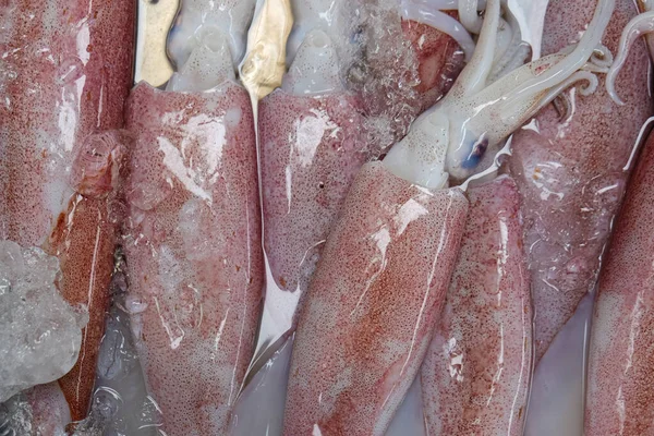 Fresh Raw Banana Squid Sell Seafood Market Food Industry — Stock Photo, Image