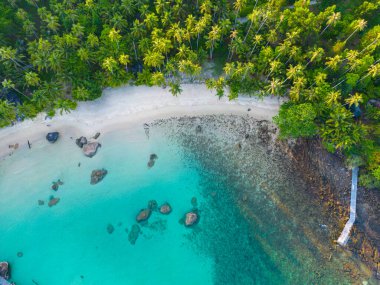 Tropik ada sahili hindistan cevizi palmiyesi turkuvaz su yaz tatili hava manzarası Koh Kut Kood