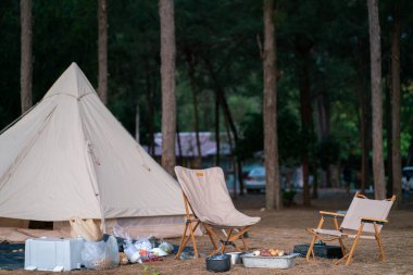 Sahildeki çam ağacının ormanında kamp çadırı.