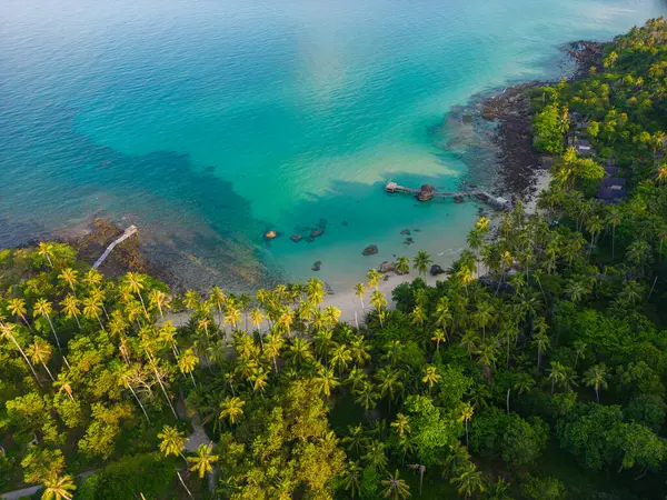Tropische Insel Meer Strand Kokospalme Türkisfarbenes Wasser Sommerurlaub Luftaufnahme Koh — Stockfoto