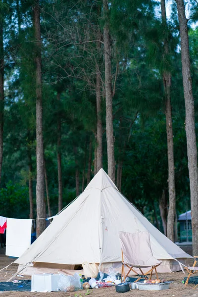 Camping Namiot Lesie Sosnowym Plaży Przed Zewnątrz — Zdjęcie stockowe