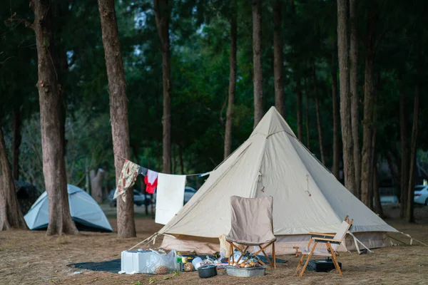 Camping Namiot Lesie Sosnowym Plaży Przed Zewnątrz — Zdjęcie stockowe