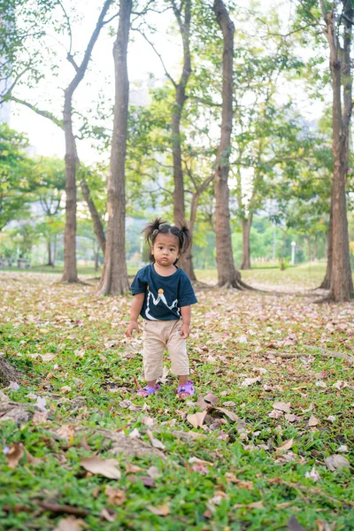 Красива Азіатська Дівчинка Малюк Грає Зеленій Траві Міському Парку Ранковий — стокове фото