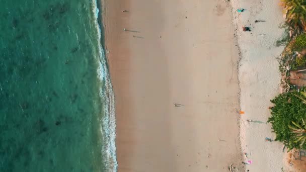 热带岛屿美丽海岸的航拍 免版税图库视频