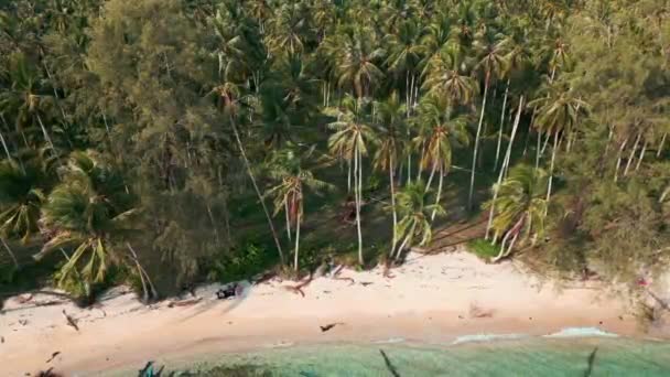 热带岛屿美丽海岸的航拍 图库视频