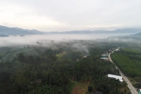 鸟瞰热带雨林绿树带雾的自然景观 — 图库照片
