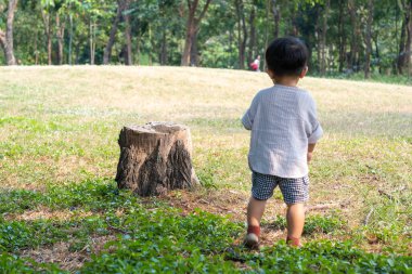 Küçük Asyalı çocuk ilk kez şehir parkında çayırda yürüyen mutlu çocuk.