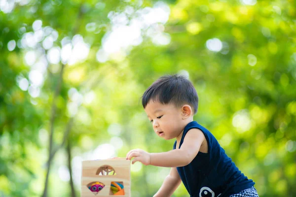 Küçük Asyalı Çocuk Yeşil Parktaki Açık Havada Ahşap Oyuncakla Oynuyor — Stok fotoğraf