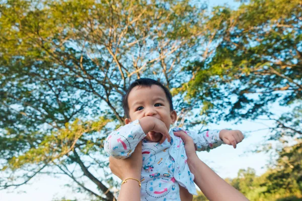 Mam Hand Heffen Gelukkig Jaar Baby Jongen Boom Park Ochtend — Stockfoto
