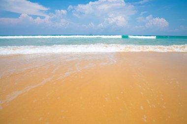 White sand beach sea  wave sunny day nature seascape